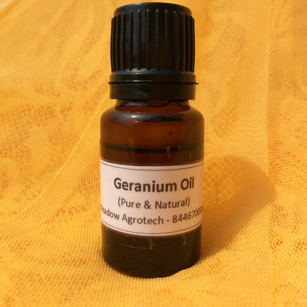 Geranium Oil